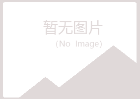 延安晓夏采矿有限公司